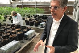 Cannabis entrepreneur Duke Rodriguez joins the race for New Mexico governor